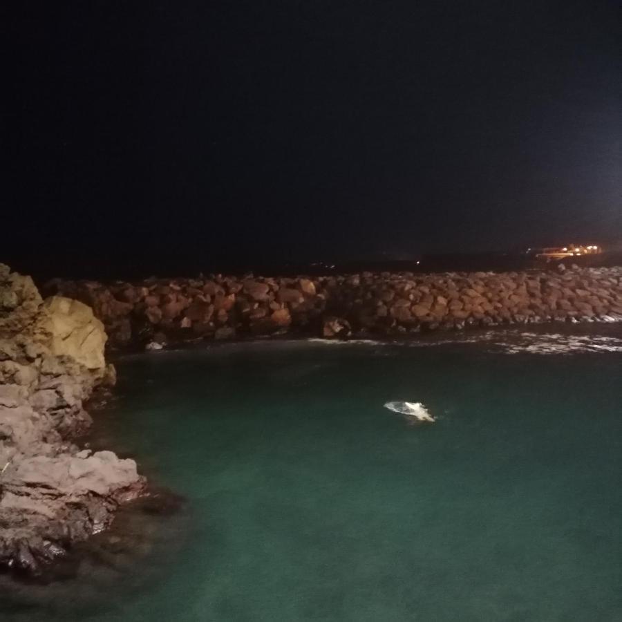 Espaco Roteiro De Mimos São Vicente Ferreira Esterno foto