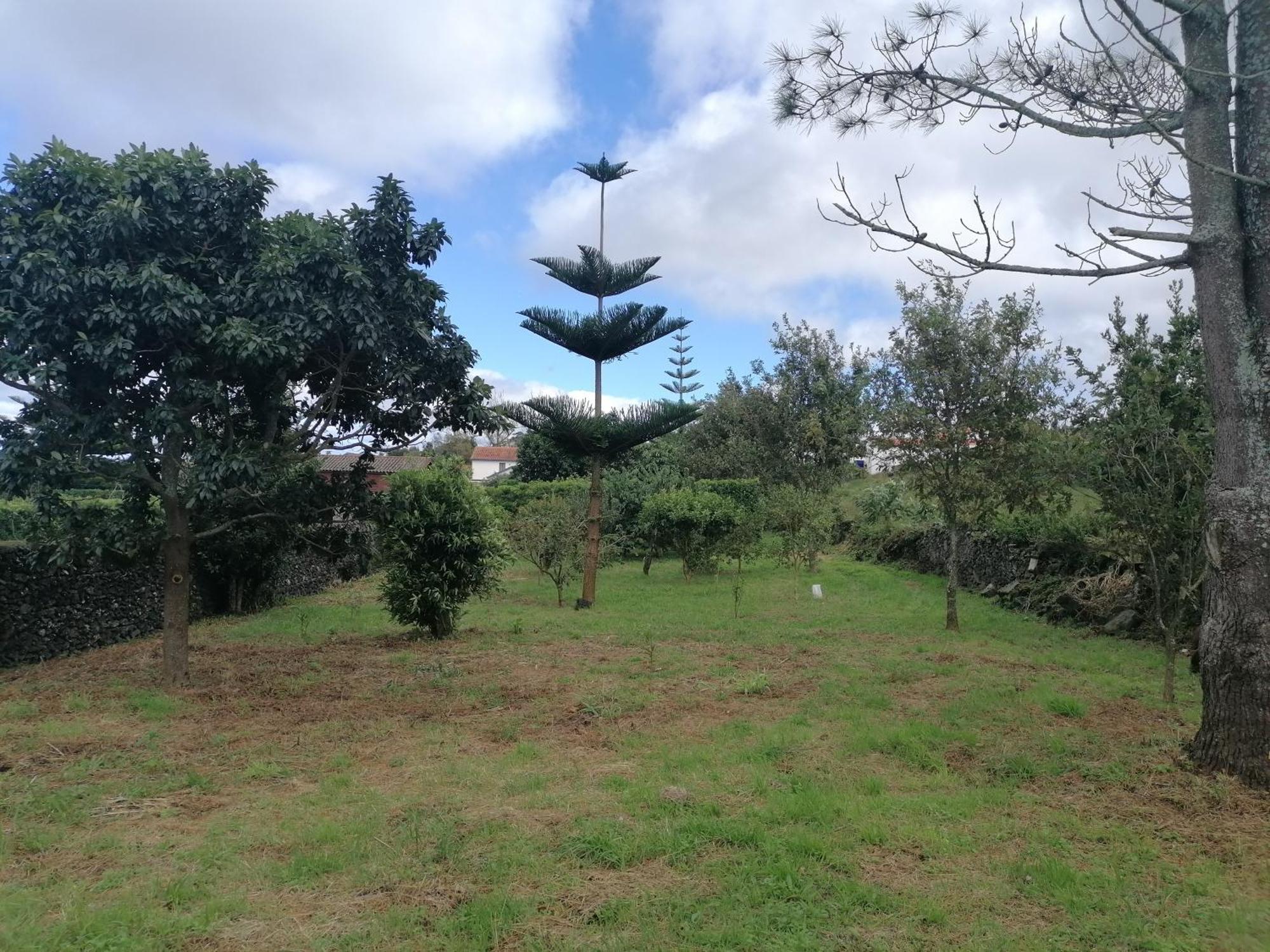 Espaco Roteiro De Mimos São Vicente Ferreira Esterno foto
