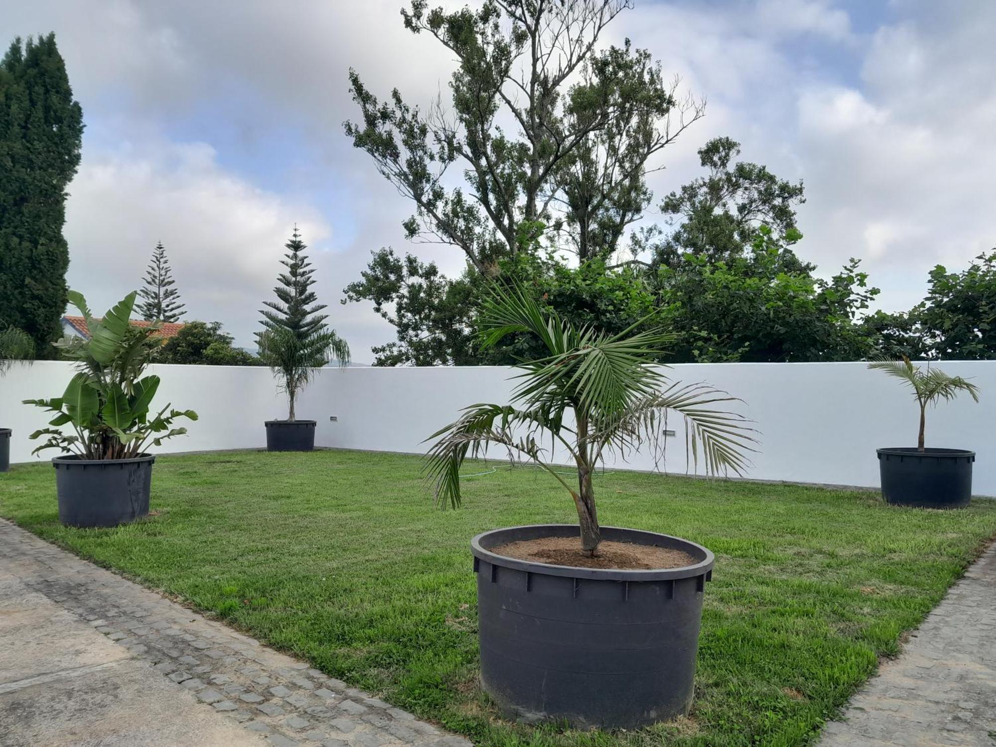 Espaco Roteiro De Mimos São Vicente Ferreira Esterno foto